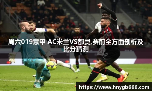 星空综合股份(中国)